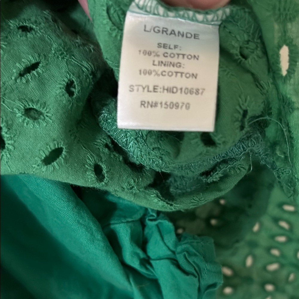 Hummingbird Anthropologie Green Eyelet Dress - Picture 5 of 9